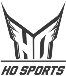 Logo for HO Sports, one of our partners